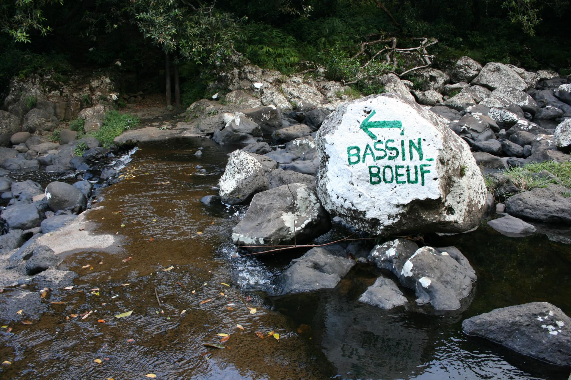 Bassin Bœuf
