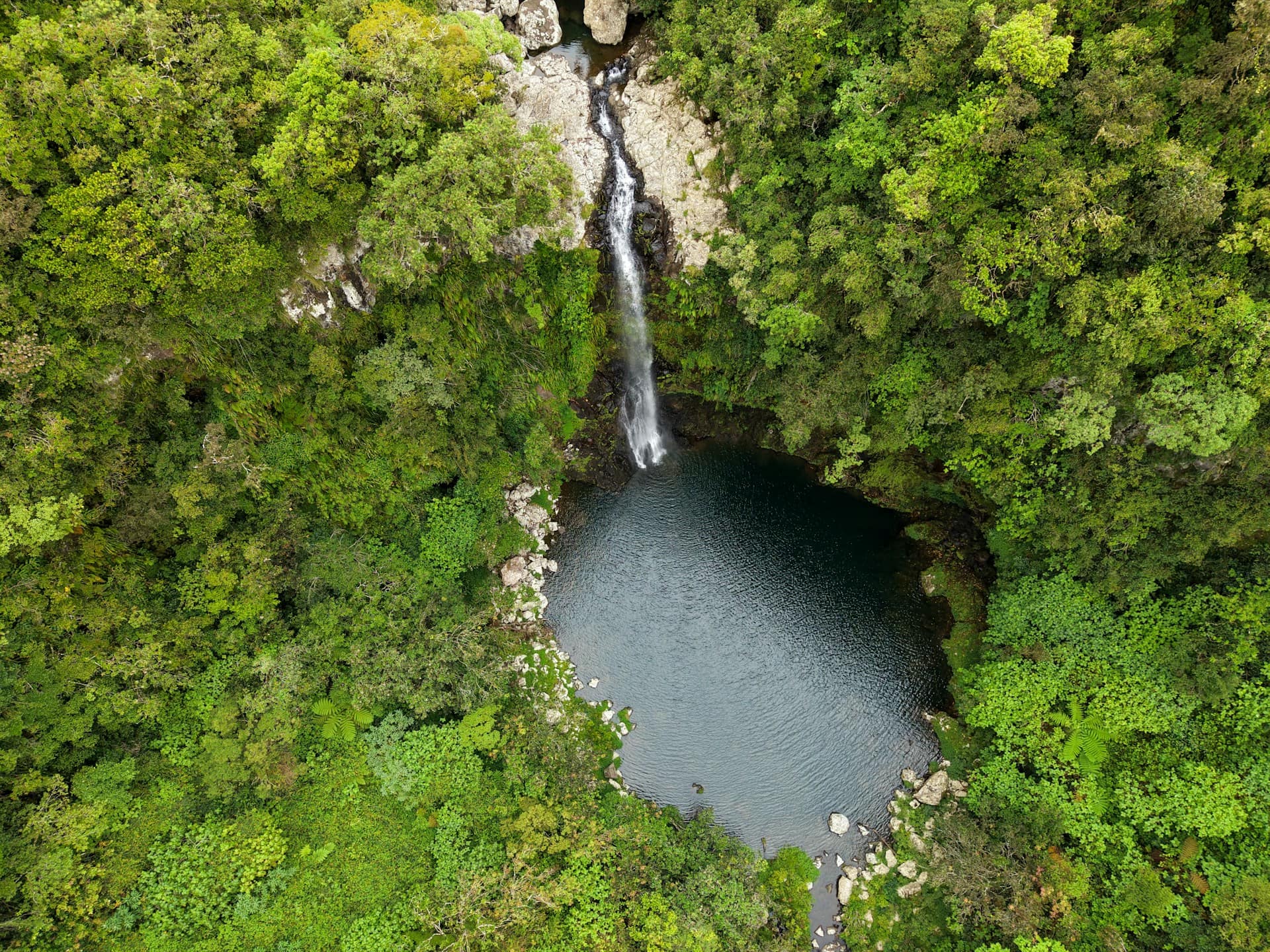 Le Bras des Lianes, à Bras-Panon, canyon d'initiation