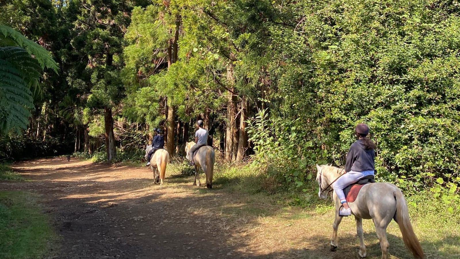 La balade à cheval