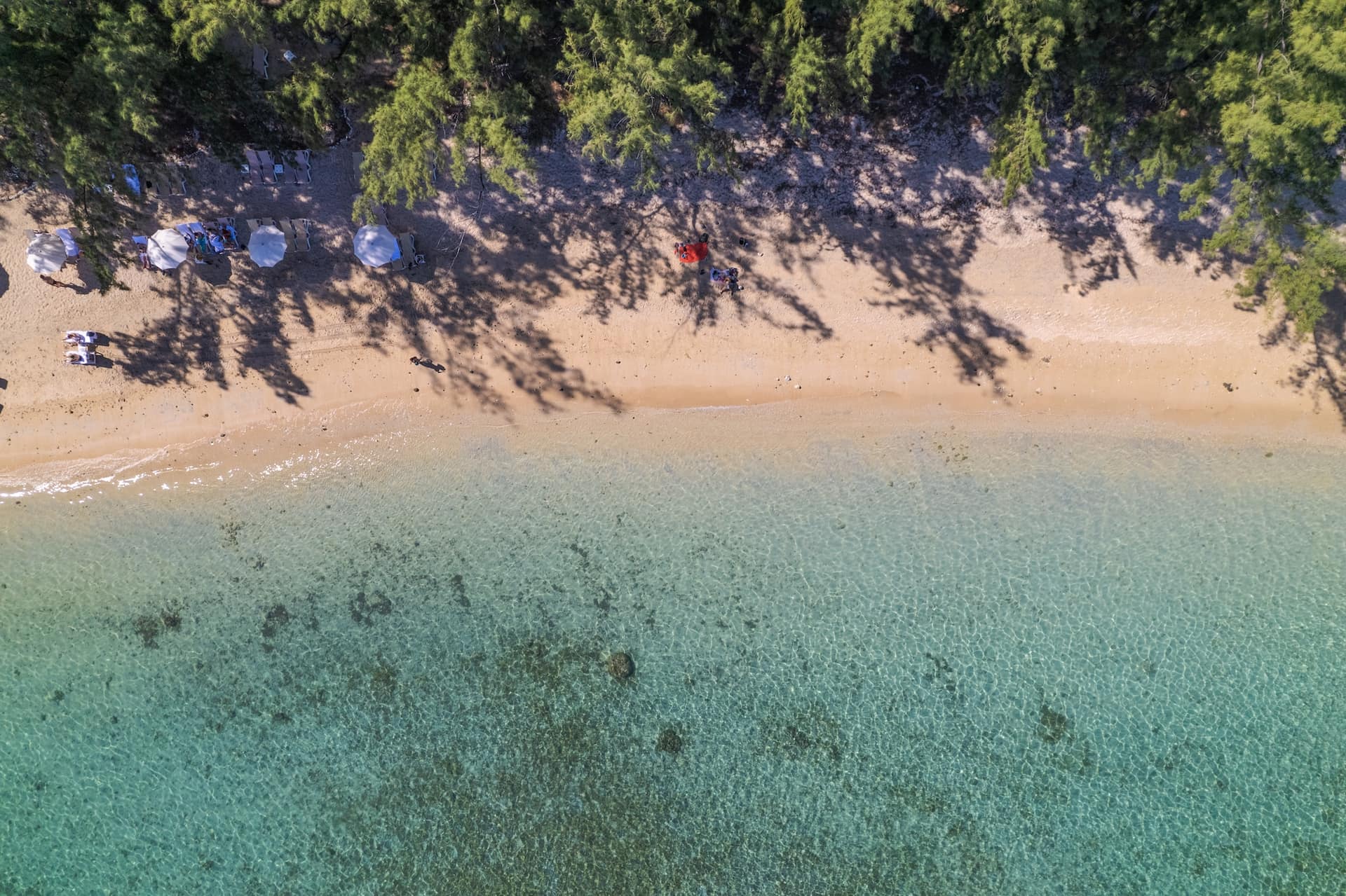 Le lagon de l'Ermitage, fermé par le récif : la baignade sûre par excellence
