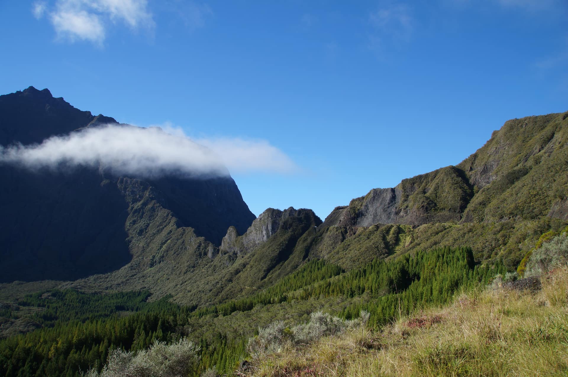 Les portes du cirque