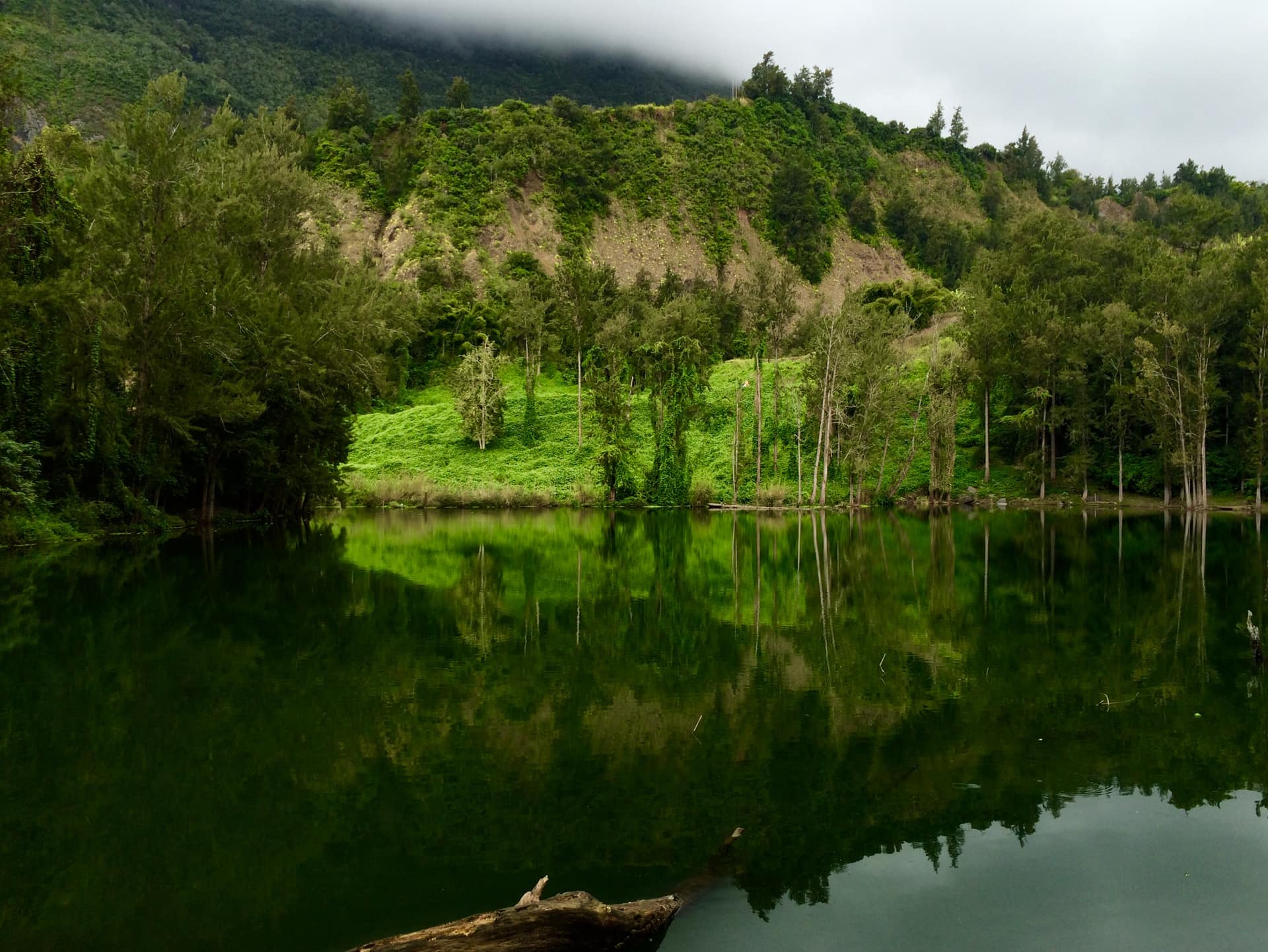 La Mare à Poule d'Eau