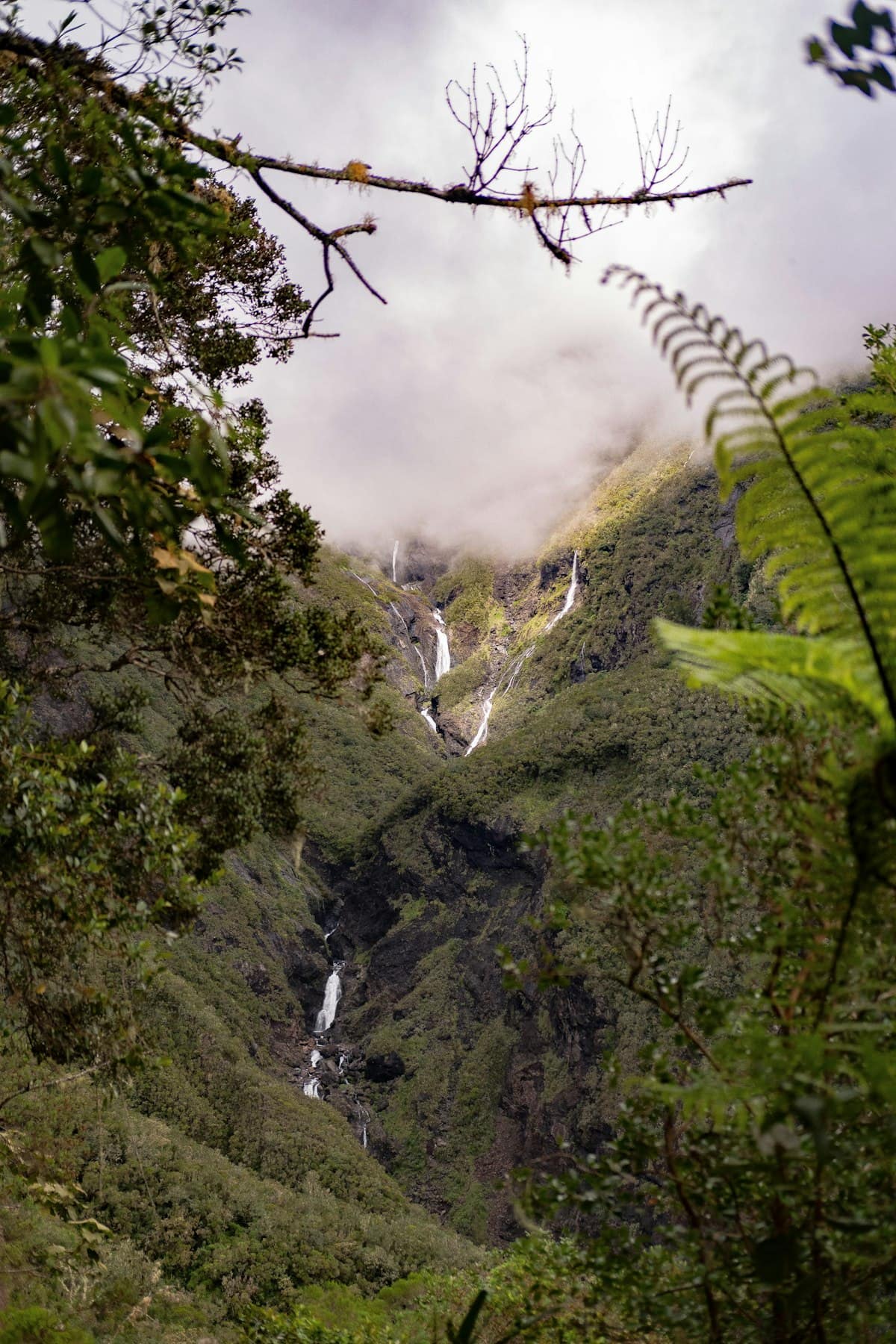 Cascade en forêt, cirque de Salazie