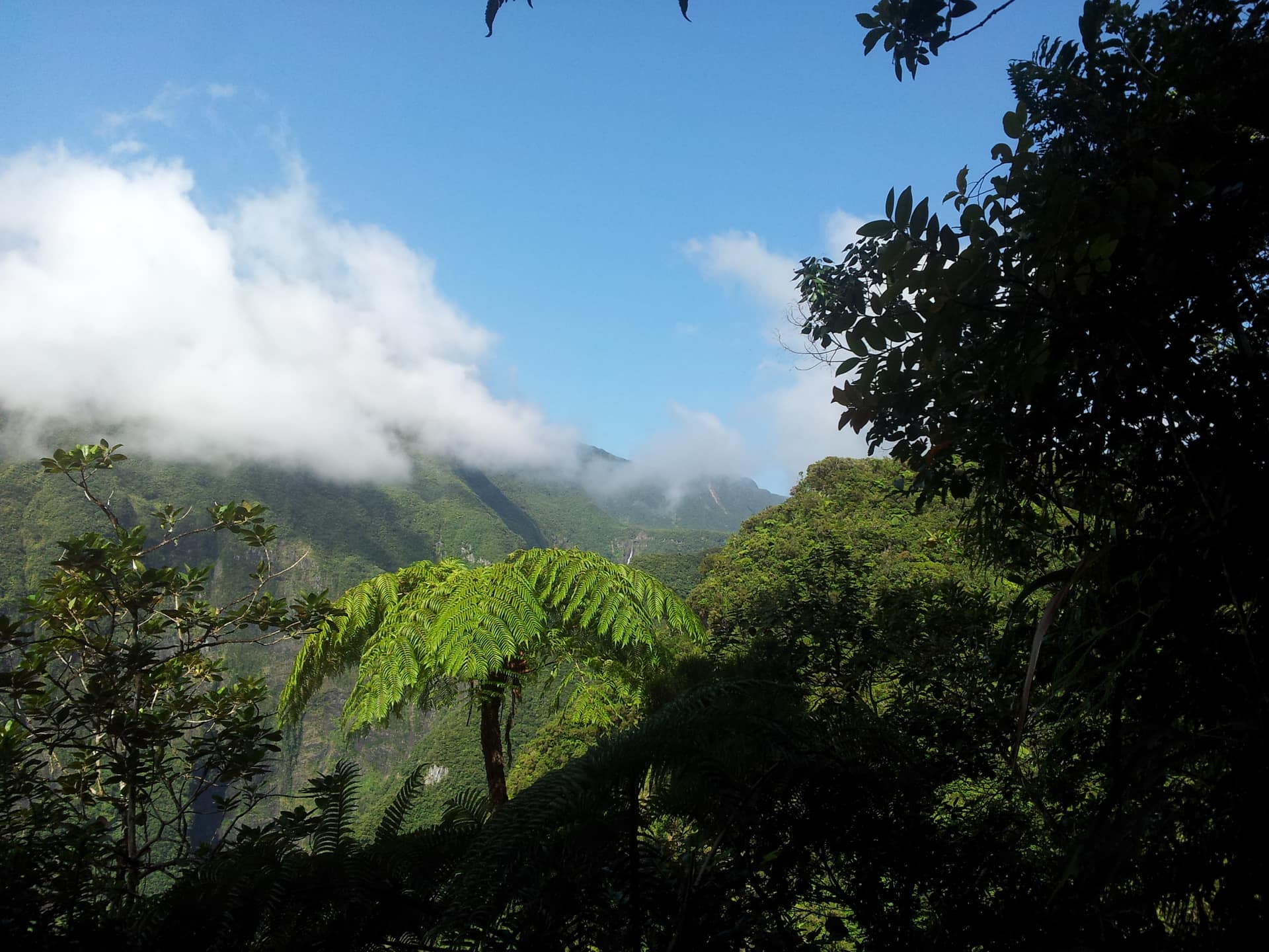 Vallée de Takamaka