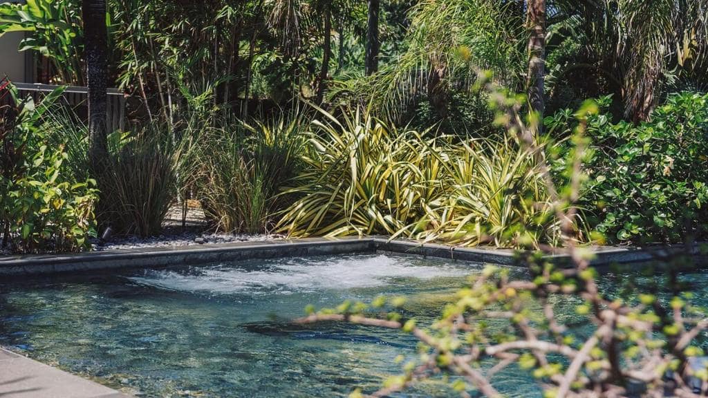 Jacuzzi extérieur entouré de graminées et fougères · © Domaine du Cap Sauvage
