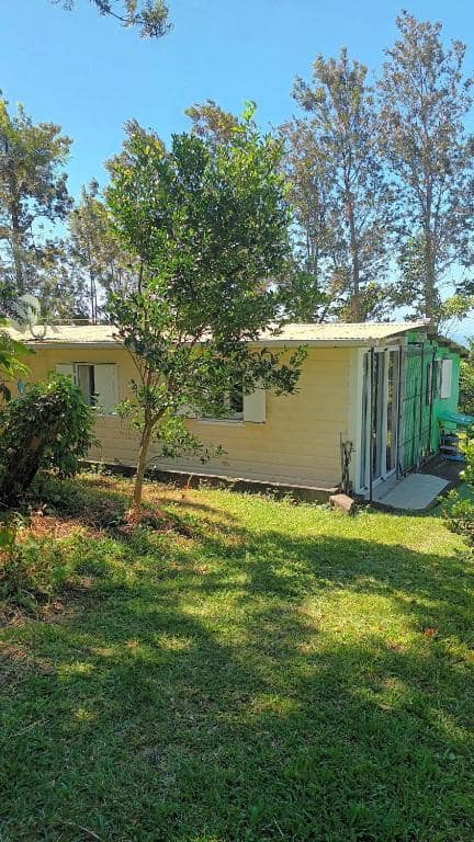 Bungalow bois jaune vu depuis le jardin, arbre en premier plan · © La cacaoyère