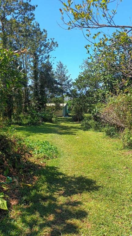 Allée gazonnée à travers le jardin, bungalow visible au fond · © La cacaoyère