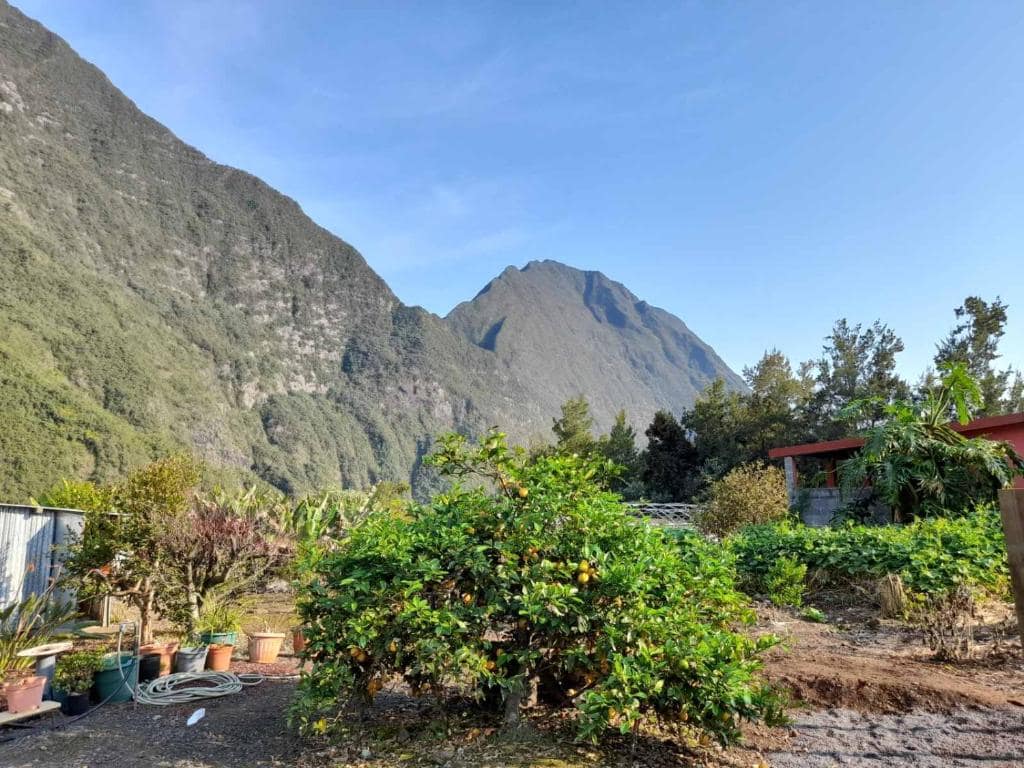Vue sur la montagne depuis le jardin d'agrumes · © Les Sommets de Salazie