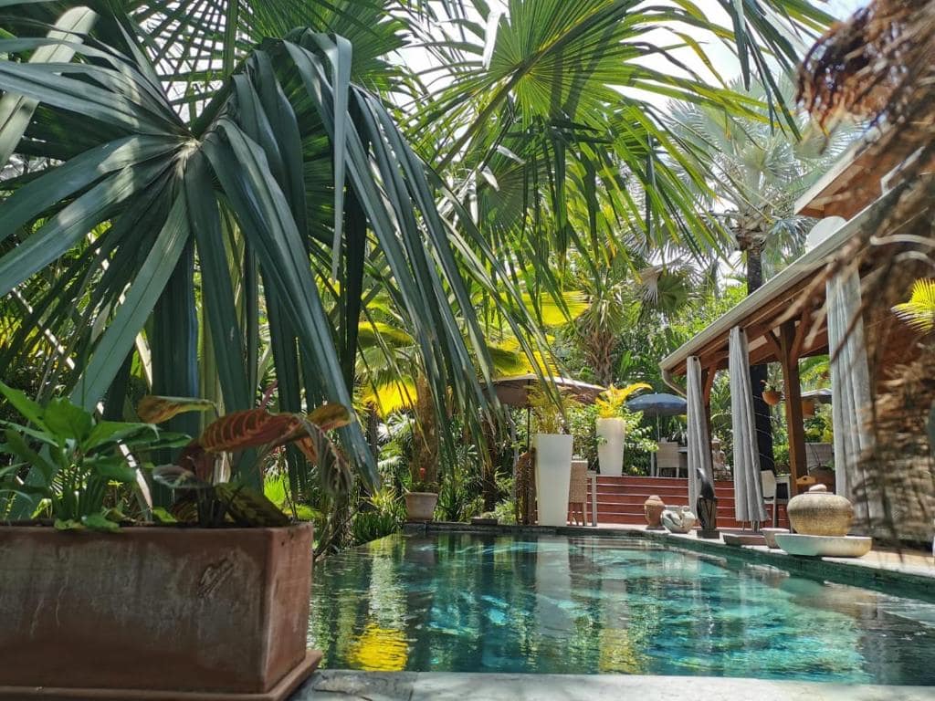 La piscine dans le jardin tropical · © Lodge Palmae