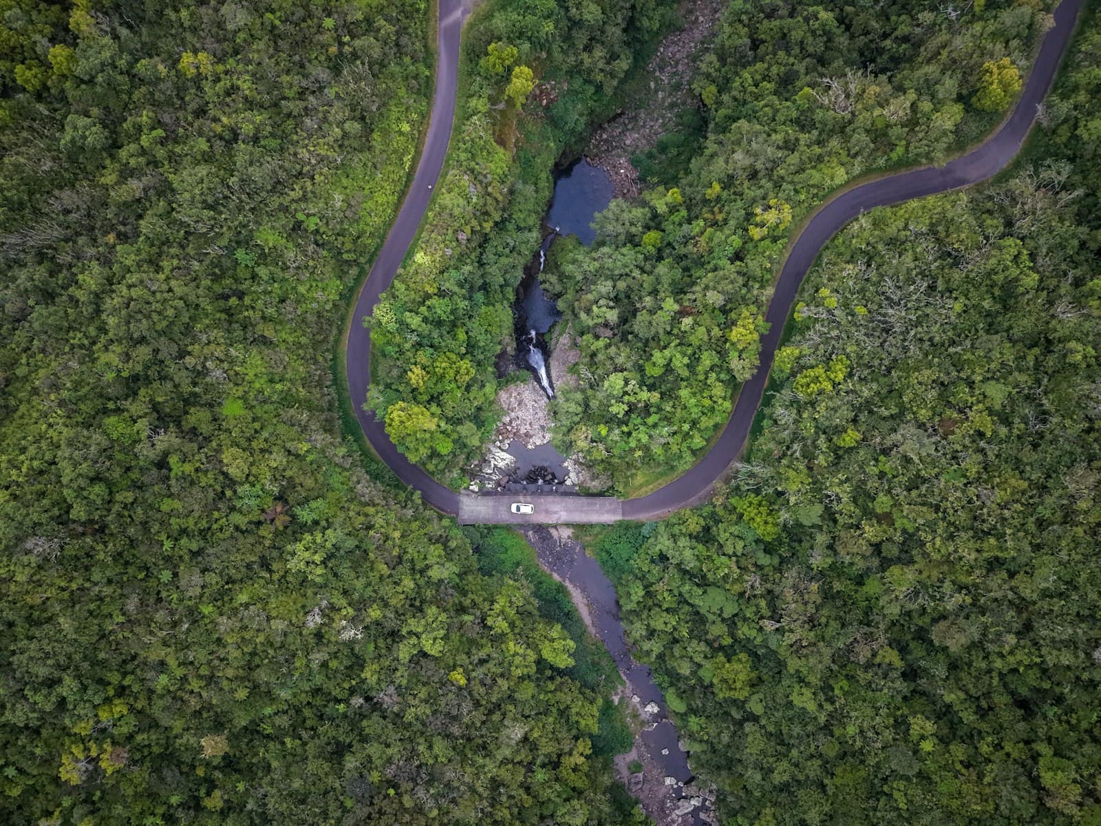 Route sinueuse serpentant à travers la forêt des Hauts de La Réunion