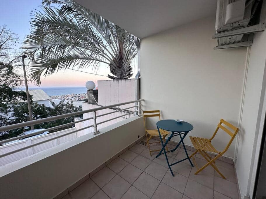 Terrasse vue mer et ville, palmier au premier plan · © Studio Bellepierre