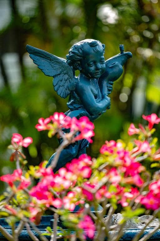 Statue d'angelot au jardin, massif d'adéniums en fleur · © Villa Myriam