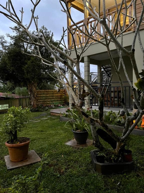 Jardin au frangipanier avec pots et lodge éclairé en fond, à la nuit · © Villa Niagara avec Spa